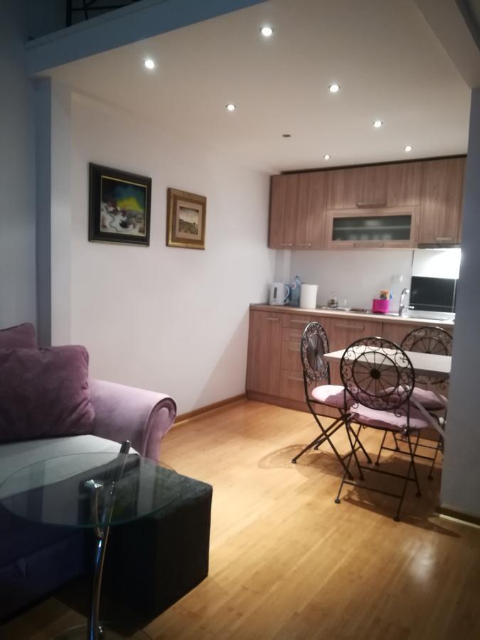Apartman Galerija Нови-Сад Экстерьер фото
